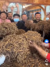 CHÚNG TA ĐANG ĂN CÁI GÌ ĐÂY?