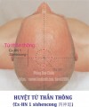 1.1. TỨ THẦN THÔNG