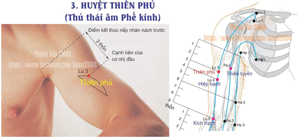 1.3. THIÊN PHỦ