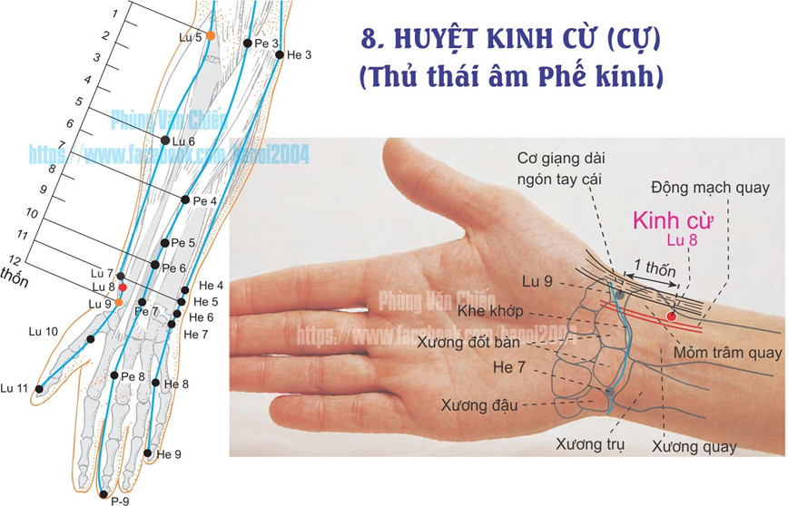 1.8. KINH CỪ