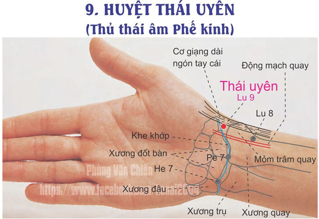 1.9. THÁI UYÊN