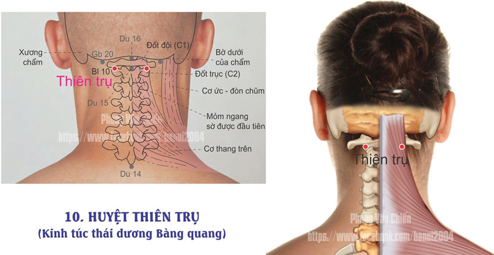 7.10. THIÊN TRỤ