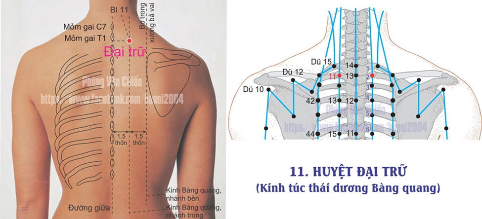 7.11. ĐẠI TRỮ