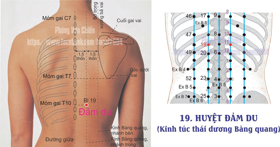 7.19. ĐẢM DU