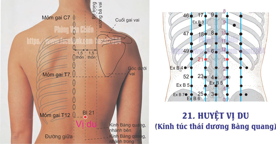 7.21. VỊ DU