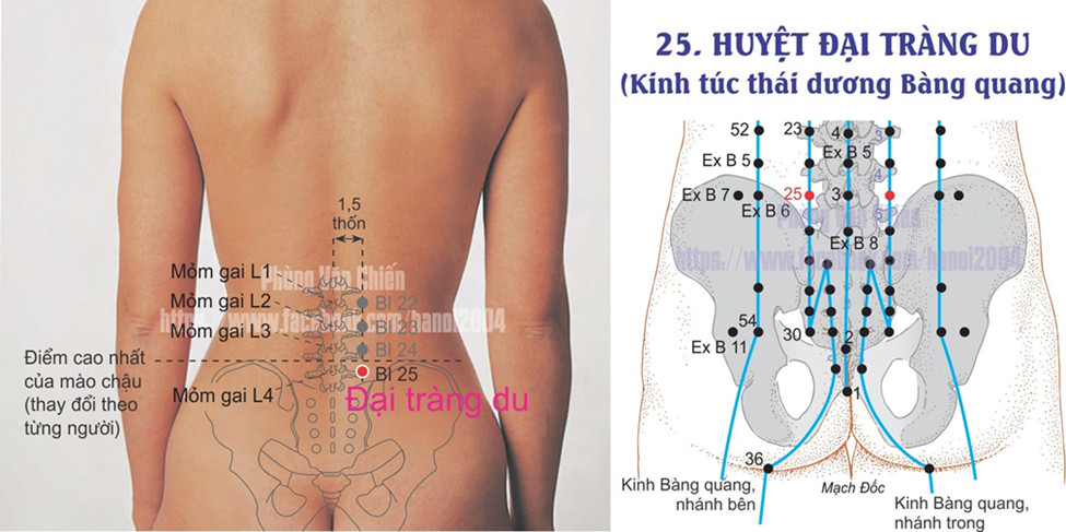 7.25. ĐẠI THƯỜNG DU