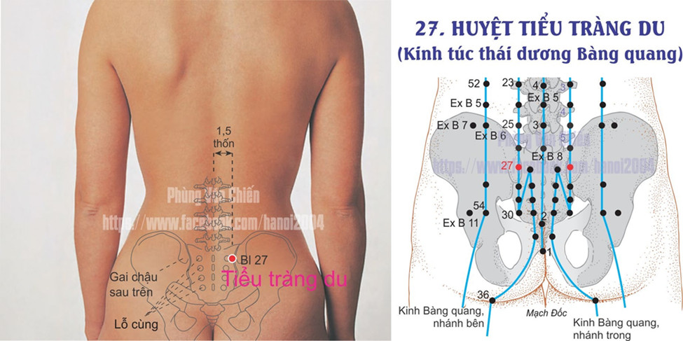 7.27. TIỂU TRƯỜNG DU