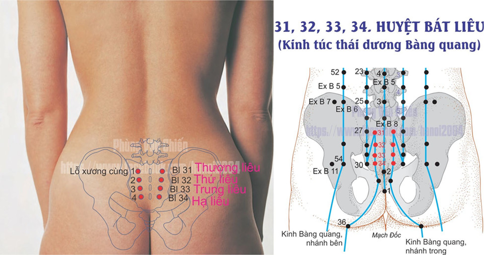 7.31. THƯỢNG LIÊU