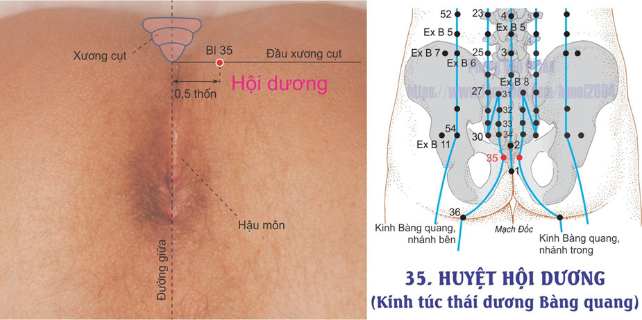 7.35. HỘI DƯƠNG