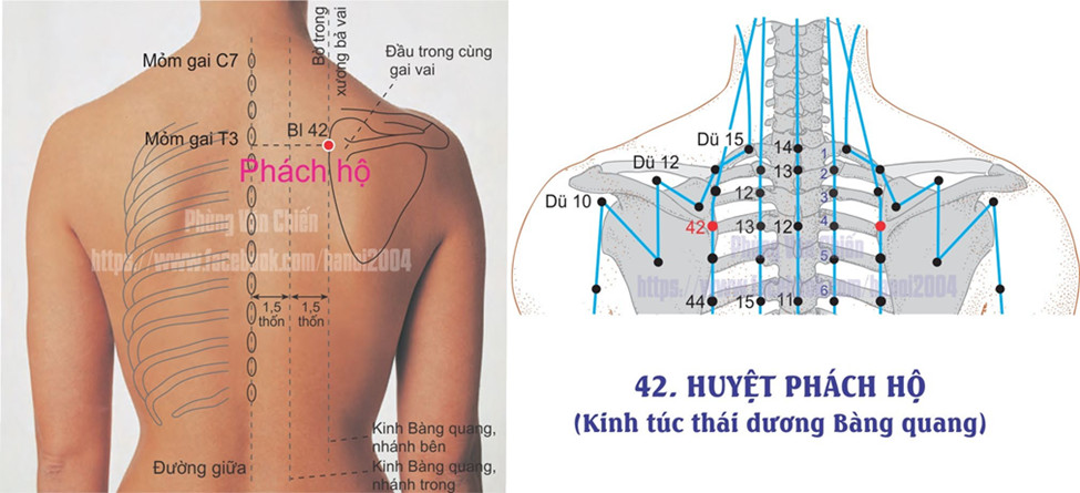 7.37. PHÁCH HỘ