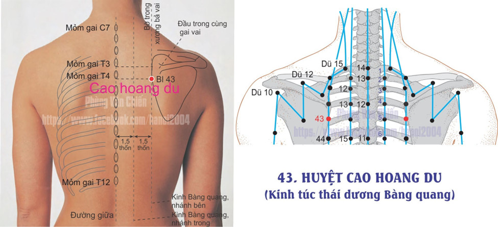 7.38. CAO HOANG DU