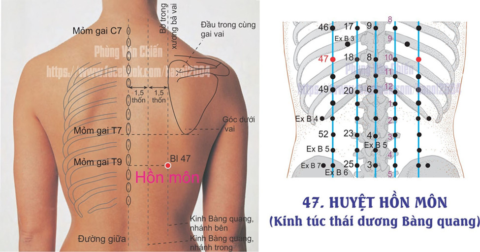 7.42 HỒN MÔN