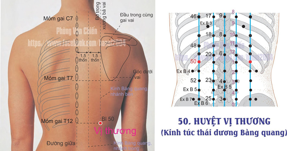 7.45. VỊ THƯƠNG