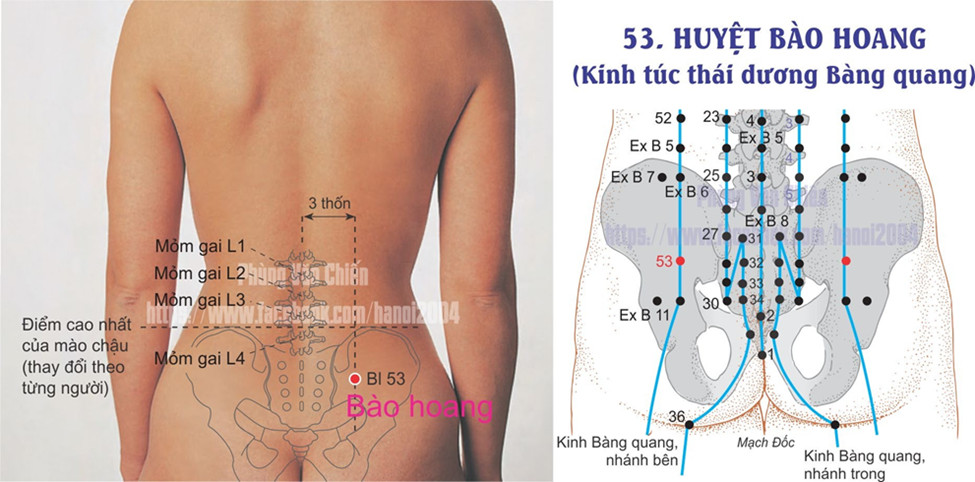 7.48. BÀO HOANG