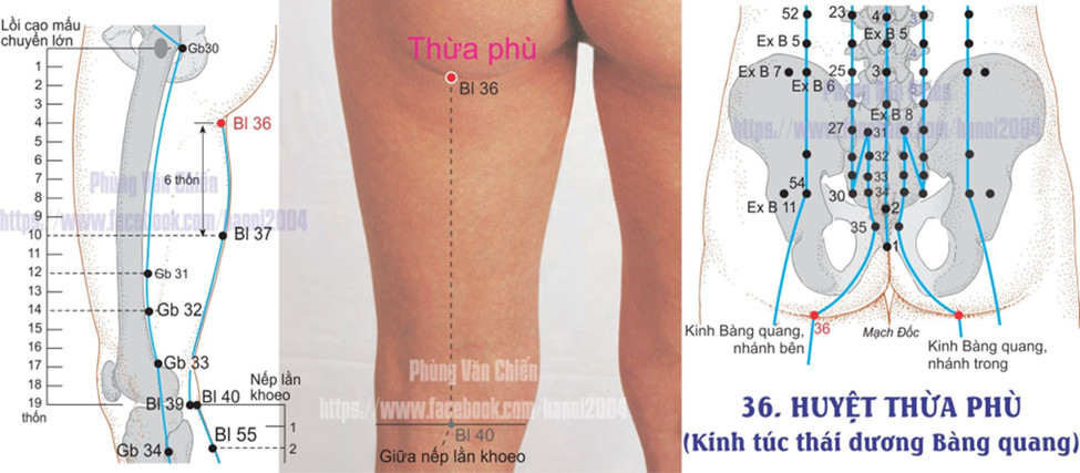 7.50. THỪA PHÙ