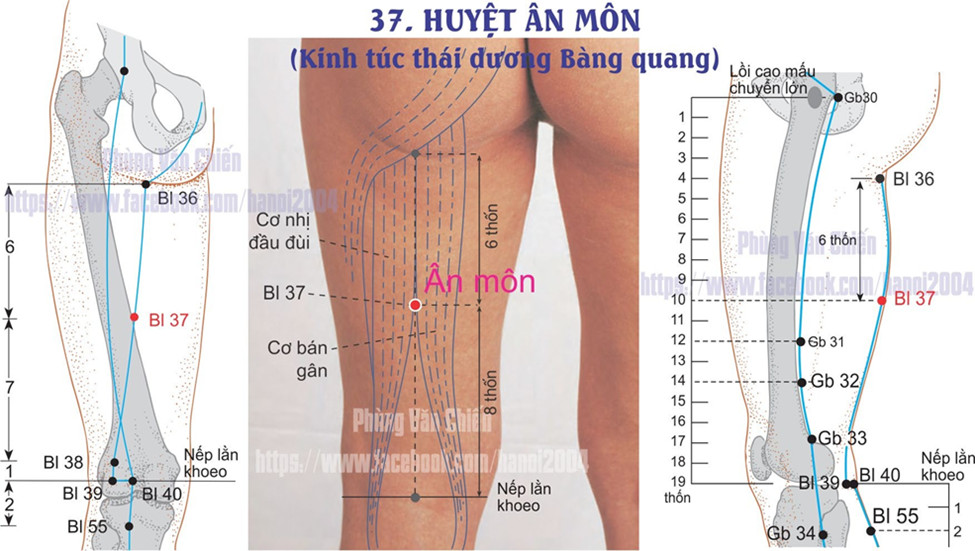 7.51. ÂN MÔN