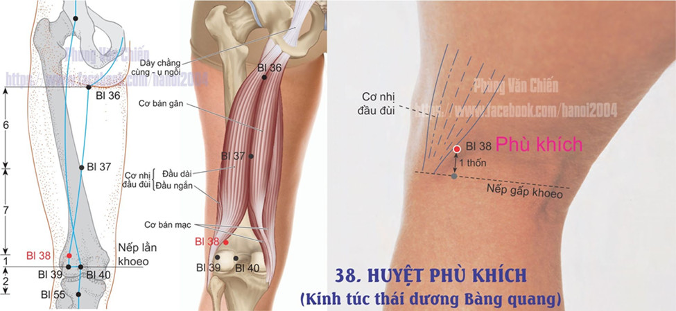 7.52. PHÙ KHÍCH