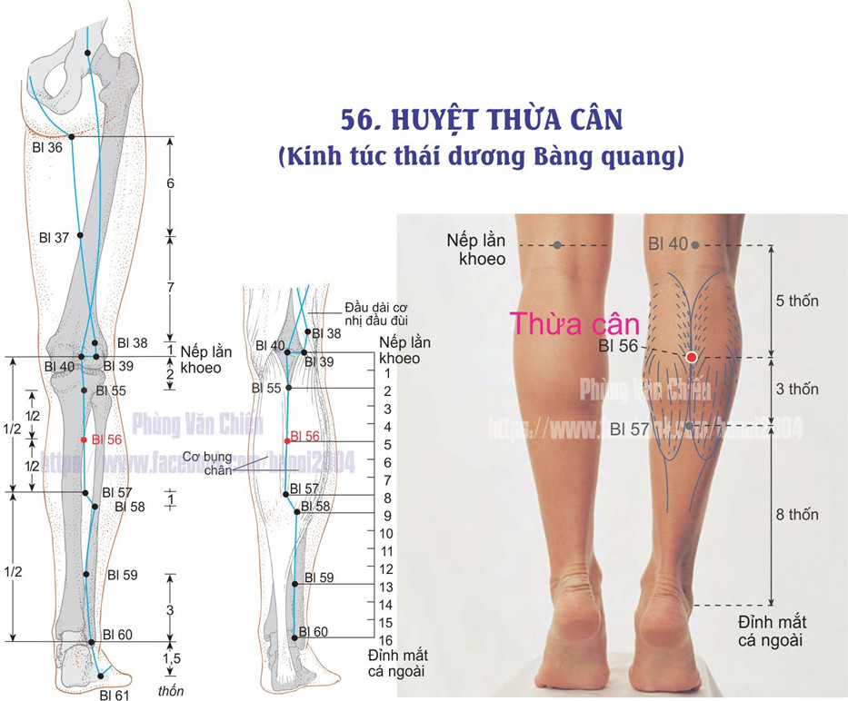 7.56. THỪA CÂN