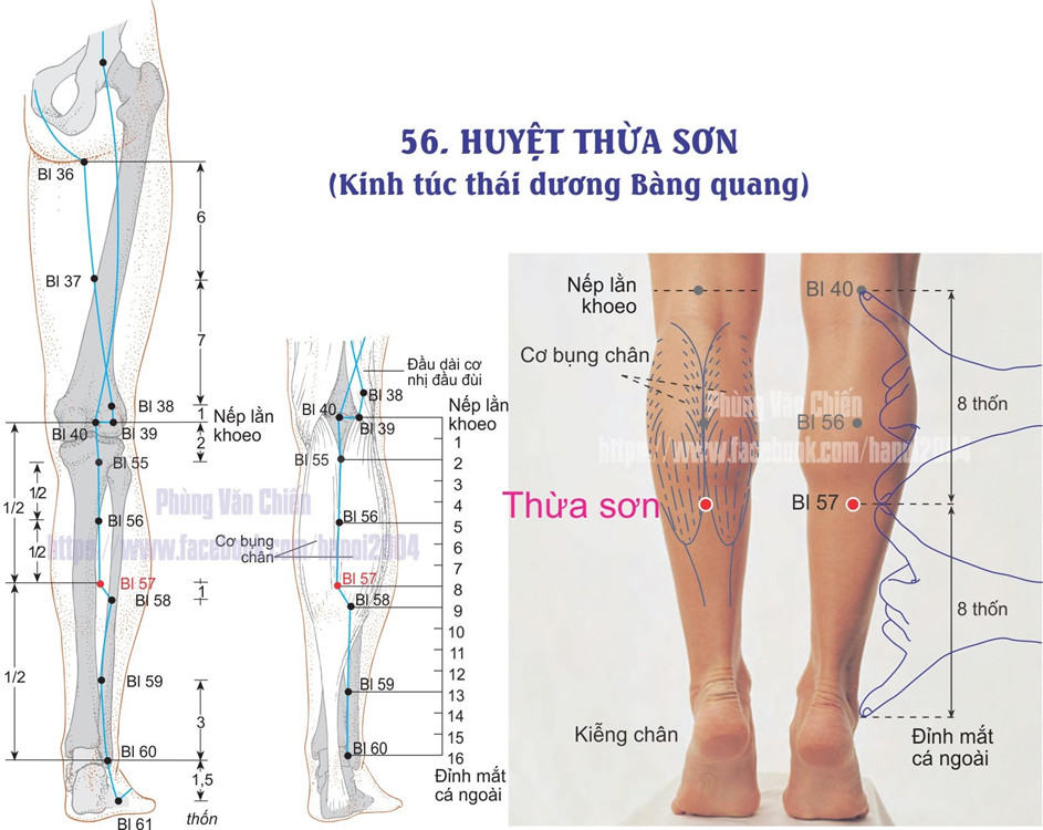 7.57. THỪA SƠN