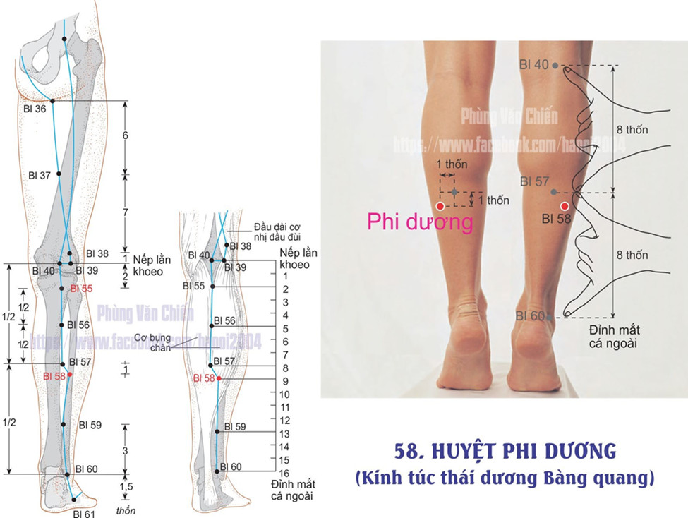 7.58. PHI DƯƠNG