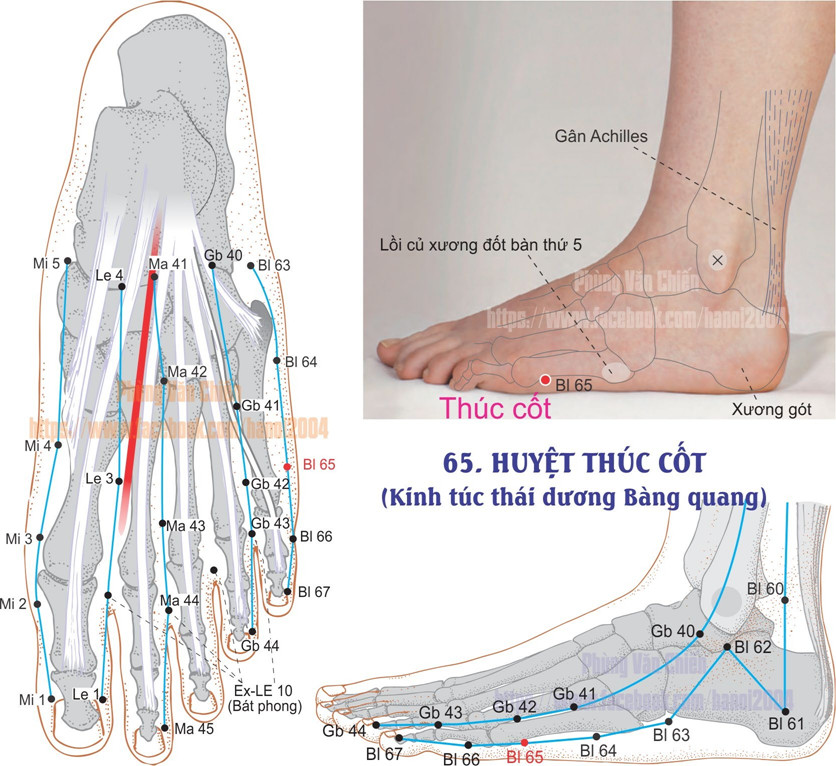 7.65. THÚC CỐT