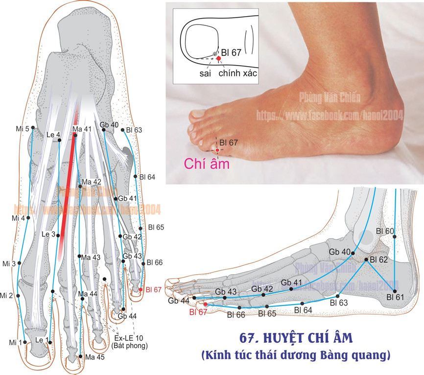 7.67. CHÍ ÂM