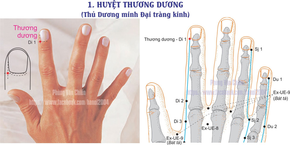 2.1. THƯƠNG DƯƠNG