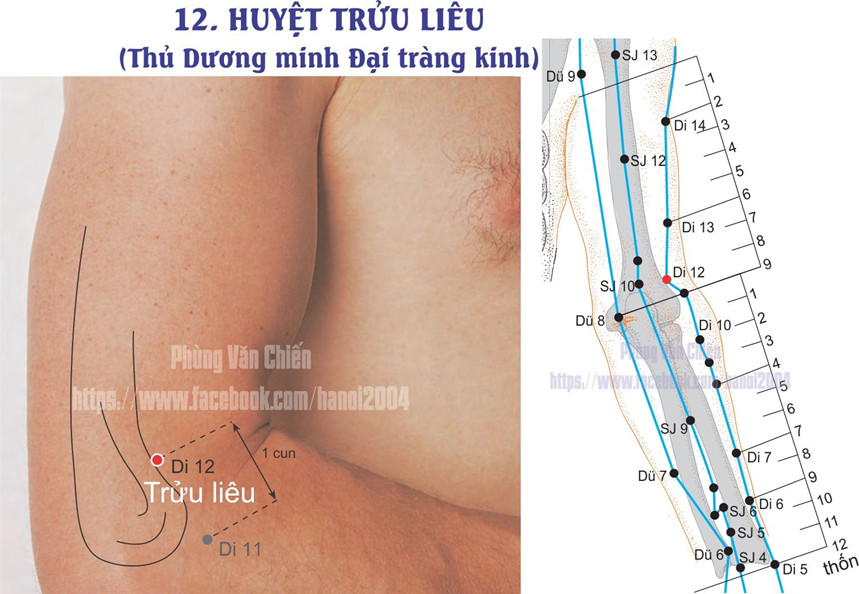 2.12. TRỬU TIÊM