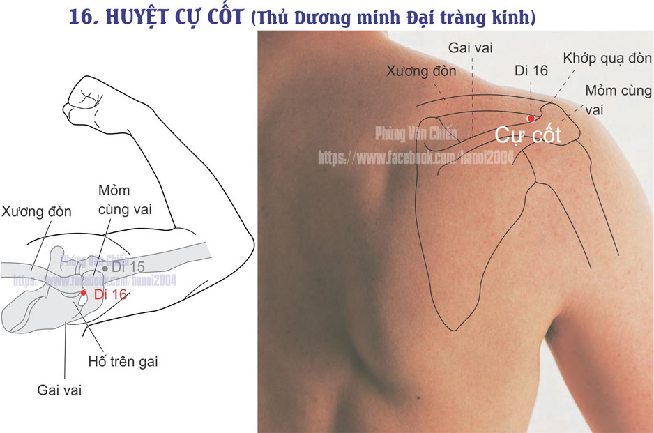 2.16. CỰ CỐT