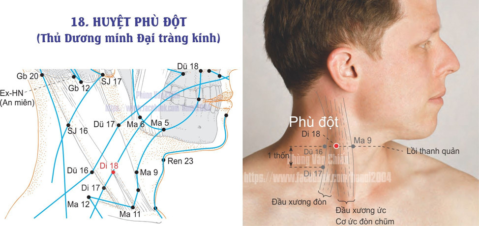 2.18. PHÙ ĐỘT