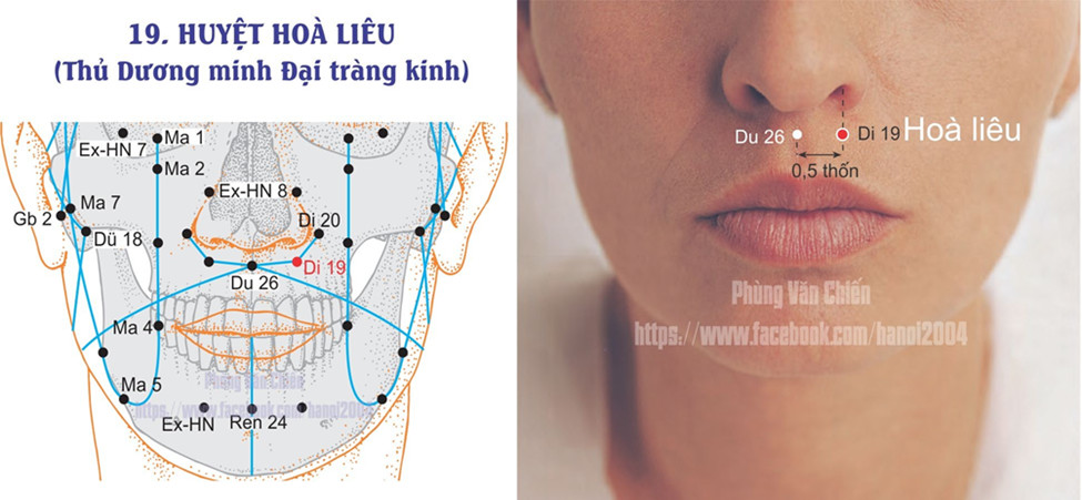 2.19. HÒA LIÊU