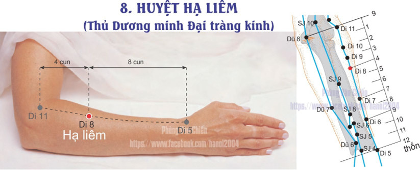 2.8. HẠ LIÊM