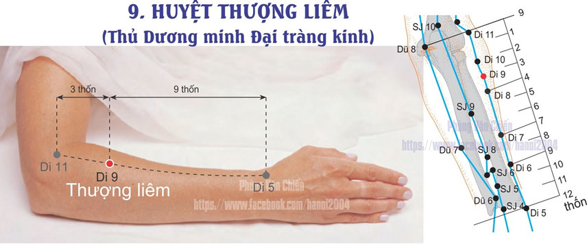 2.9. THƯỢNG LIÊM