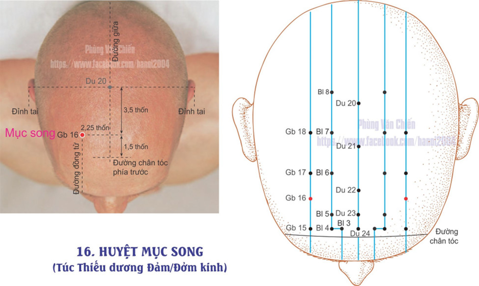 11.16. MỤC SONG