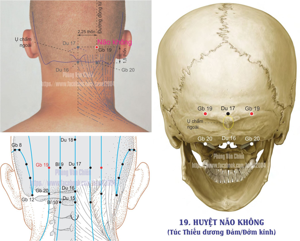 11.19. NÃO KHÔNG