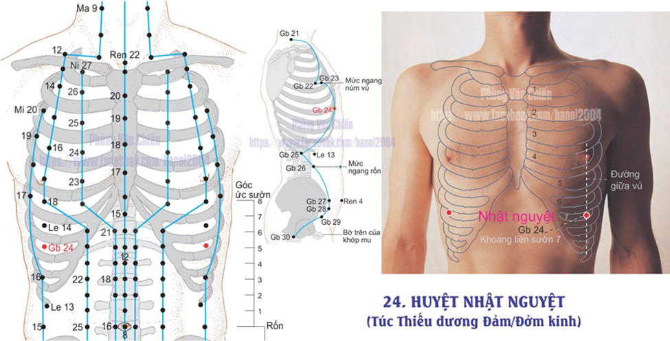 11.24. NHẬT NGUYỆT