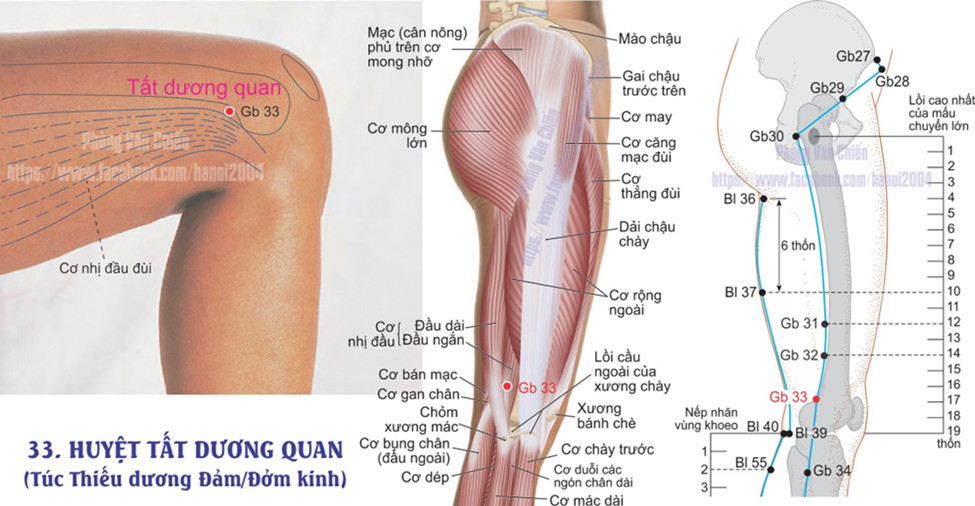 11.33. TẤT DƯƠNG QUAN