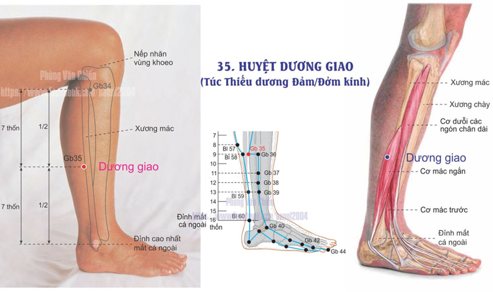 11.35. DƯƠNG GIAO