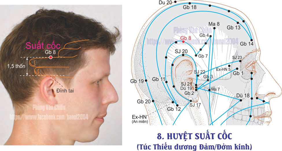 11.8. SUẤT CỐC