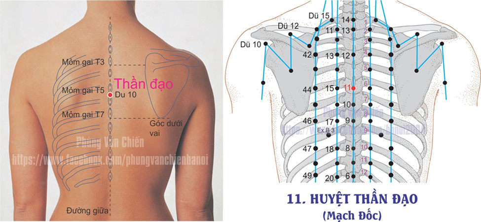 14.11. THẦN ĐẠO