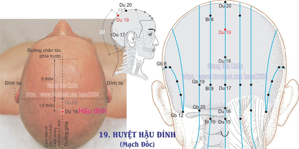 14.19. HẬU ĐỈNH