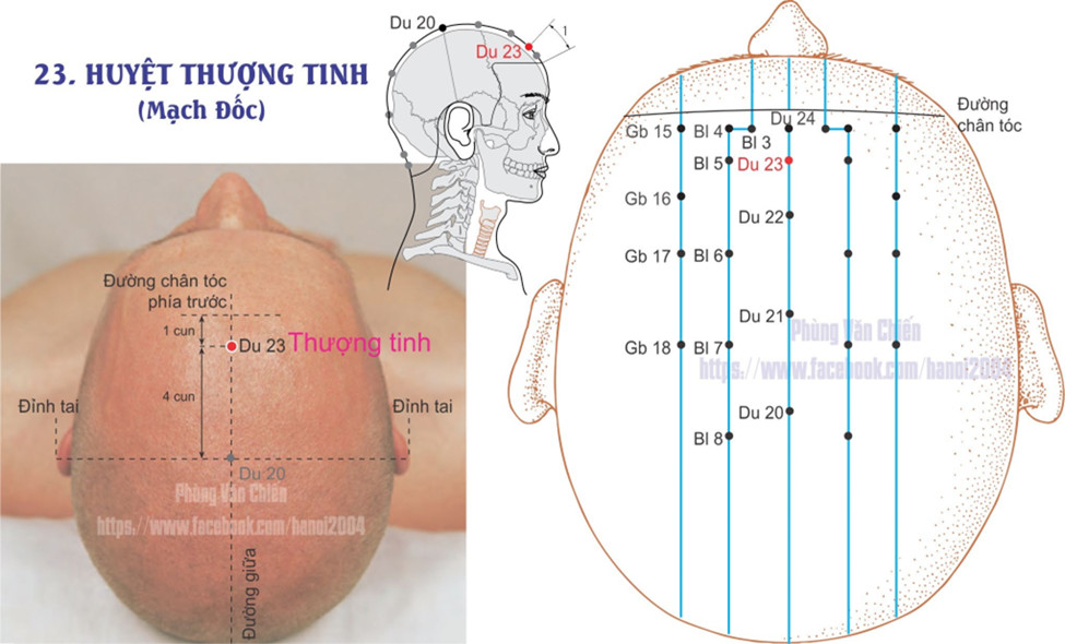 14.23. THƯỢNG TINH