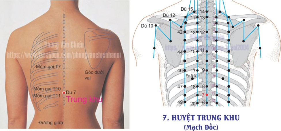 14.7. TRUNG KHU