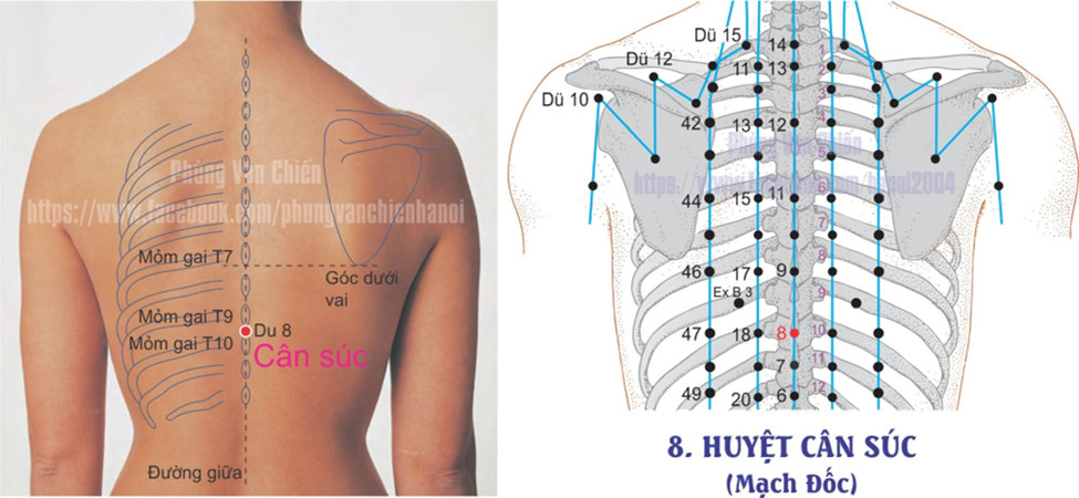 14.8. CÂN SÚC