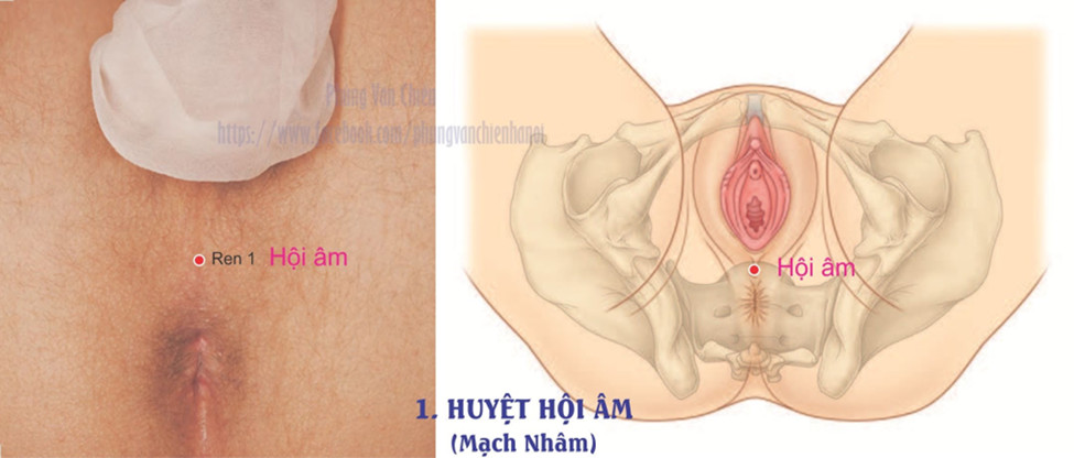 13.1. HỘI ÂM