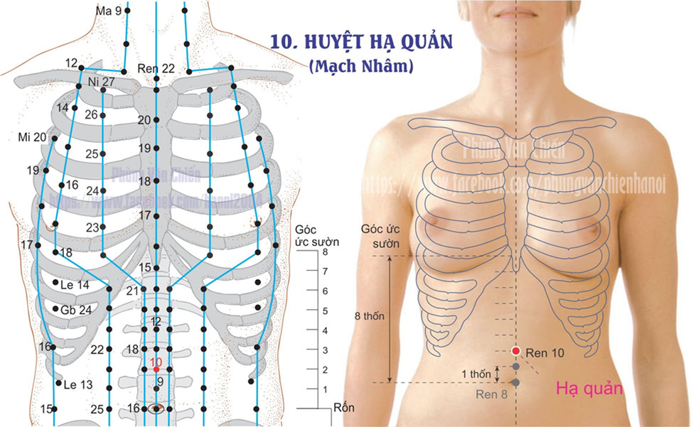 13.10. HẠ QUẢN