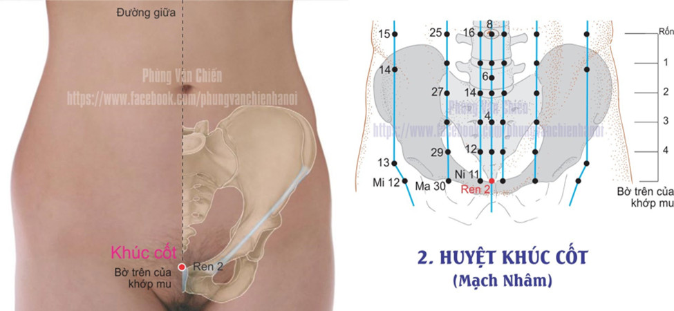 13.2. KHÚC CỐT