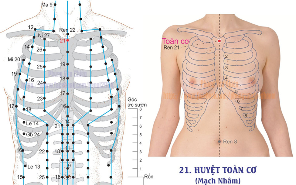 13.21. TOÀN CƠ