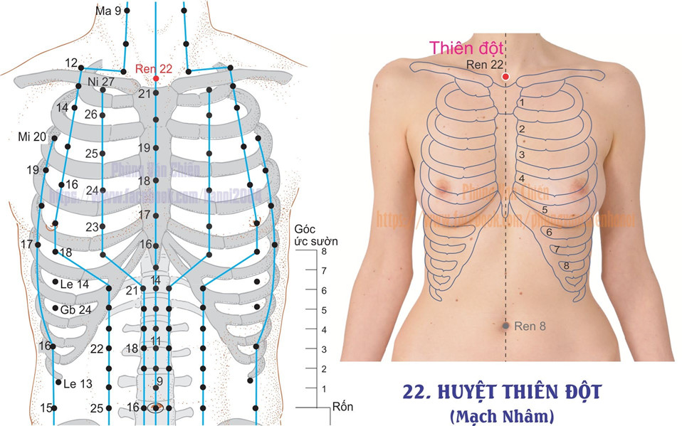 13.22. THIÊN ĐỘT