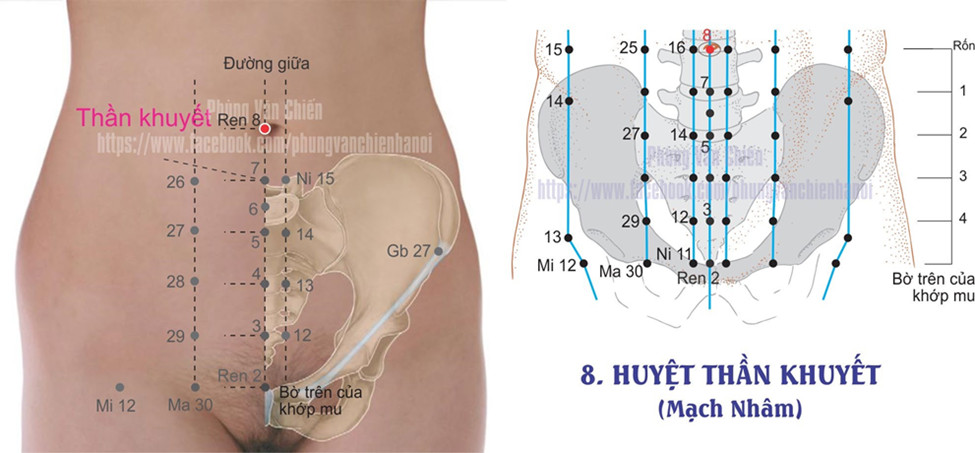 13.8. THẦN KHUYẾT